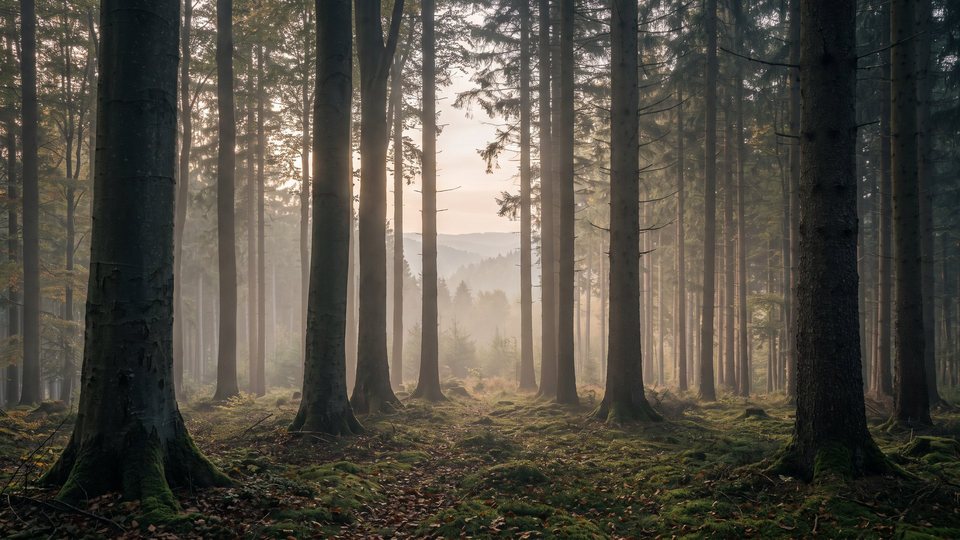 Landschaft vun der Regioun ronderëm Hermeskeil — Bild mat kënschtlecher Intelligenz erstallt