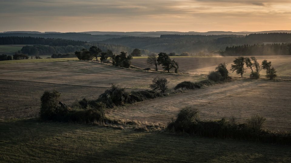 Landschaft vun der Regioun ronderëm Hilscheid — Bild mat kënschtlecher Intelligenz erstallt